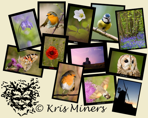kris miners photography