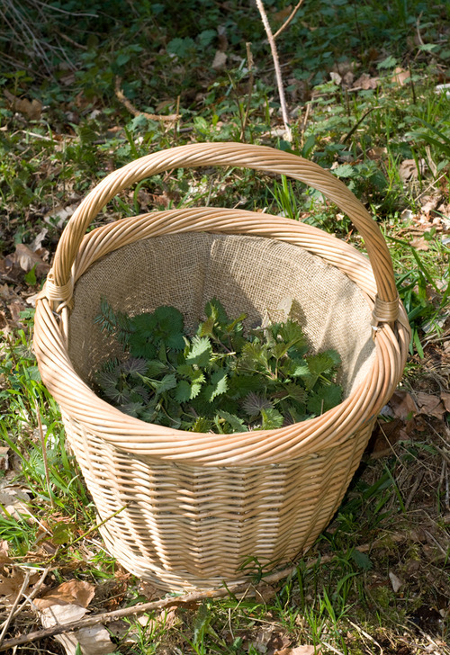 basket of nettles