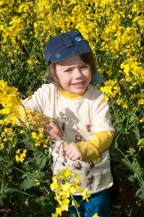 Orin in the yellow flowers